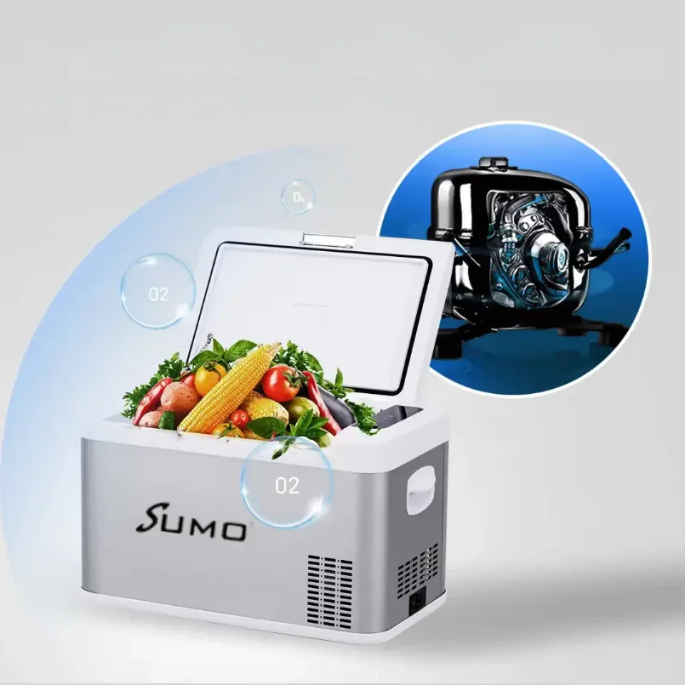 portable fridge and freezer