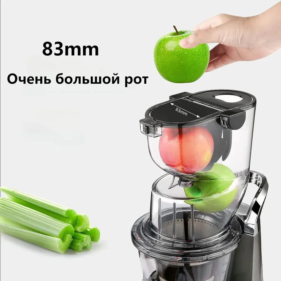 SLOW Masticating Juicer
