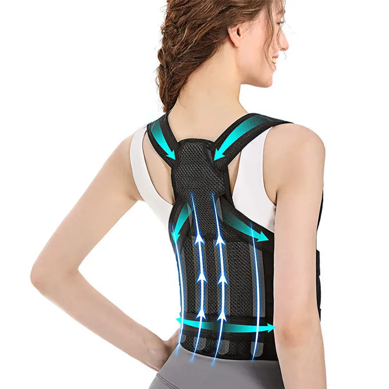 Back Support Belt